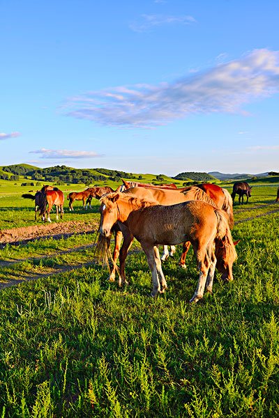 1627355874221187.jpg 2.jpg