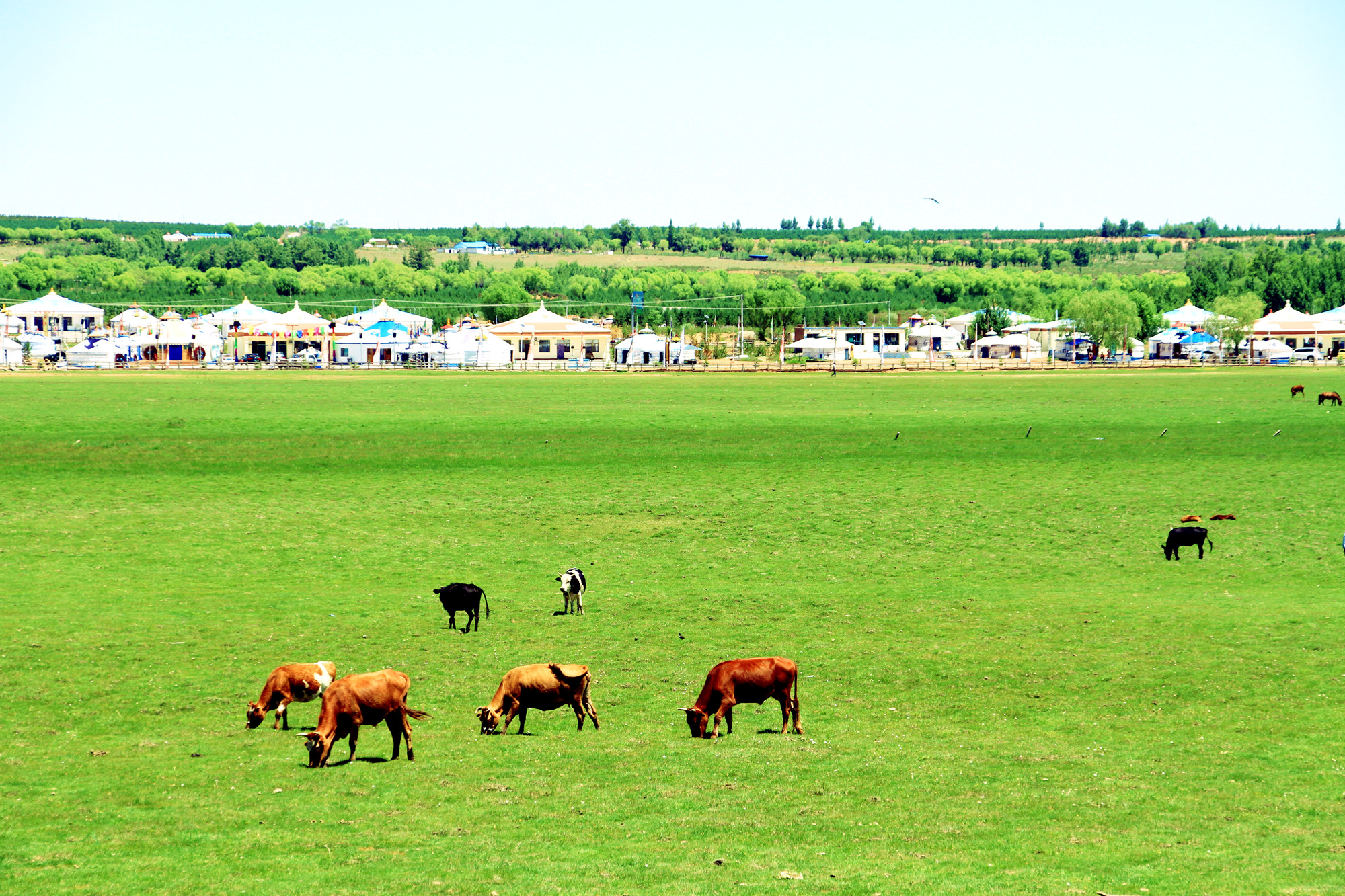 1627355908239164.jpg 3.jpg