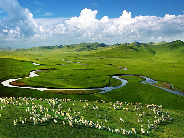 1627356365515009.jpg 16.jpg