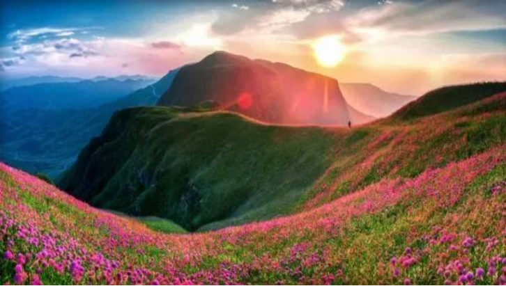 1708588944136555.png image.png