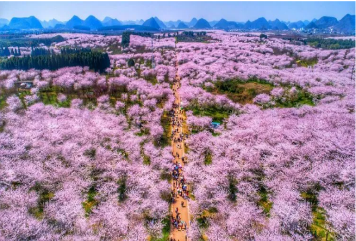 1708588993947115.png image.png