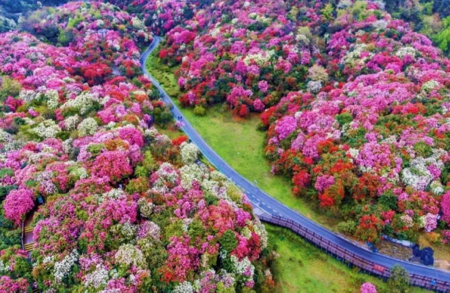 1708590285508741.png image.png