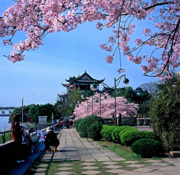 1708678679350908.png image.png