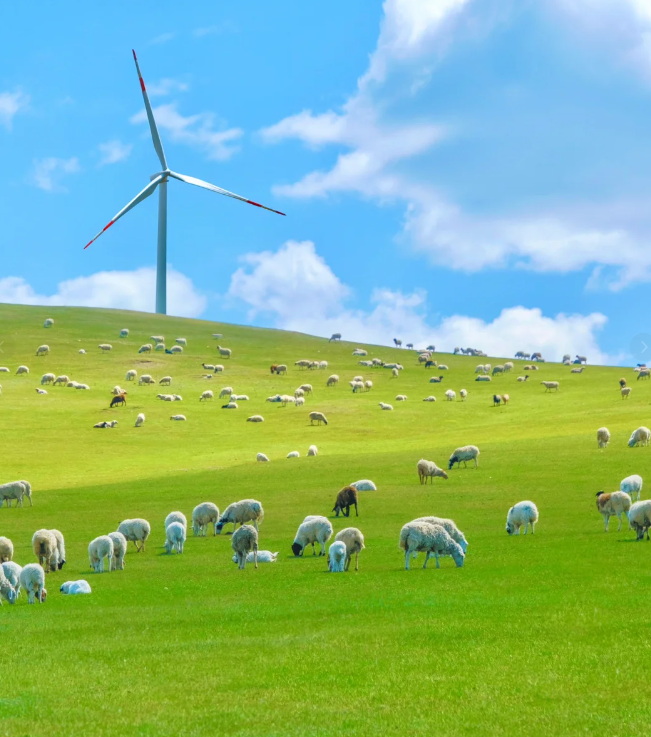 1718269204924493.png image.png