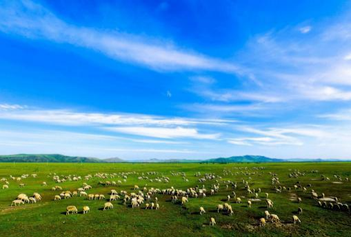 1719999887616306.png image.png