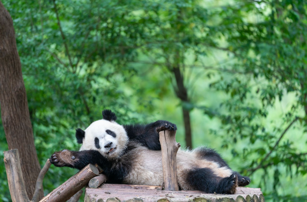 1723693939149870.png image.png