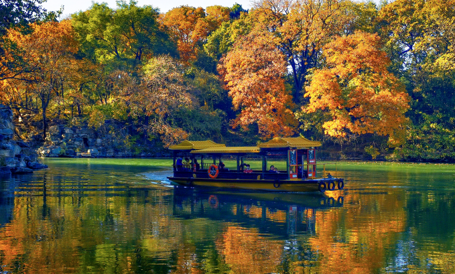 颐和园里的“最美秋天”！为了它工人一天打捞300多斤落叶_北京日报网
