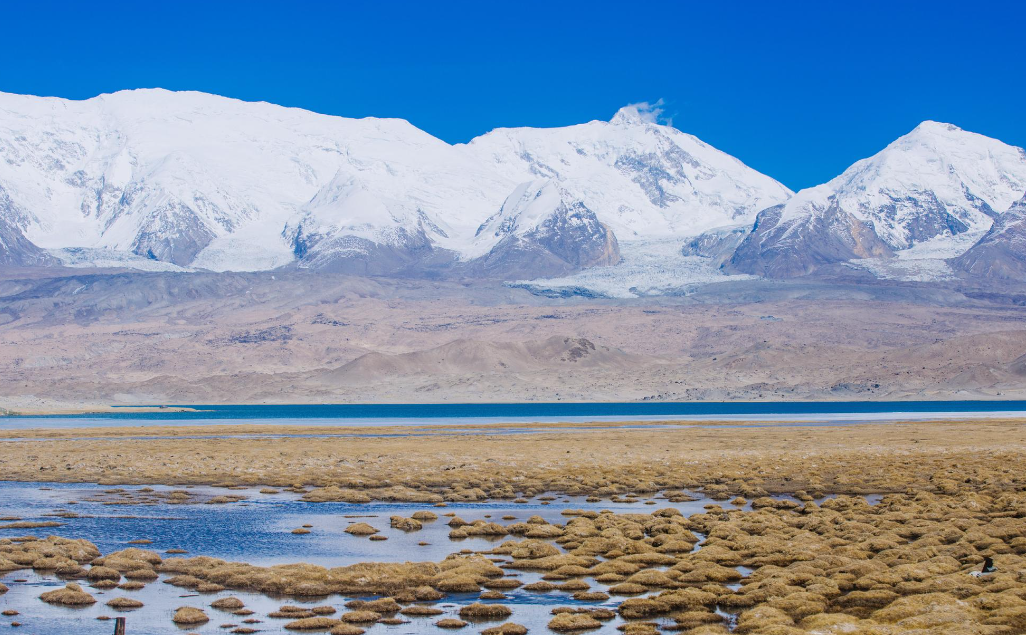 1724124792589160.png image.png