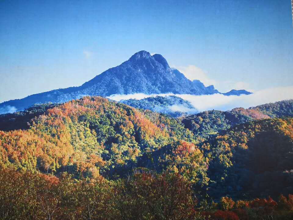 2019五指山热带雨林风景区-旅游攻略-门票-地址-问答-游记点评，五指山旅游旅游景点推荐-去哪儿攻略