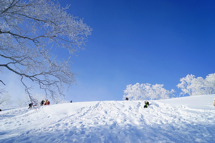 "上到大秃顶山顶，马上被眼前的美景震憾了，无法用言语表达当时的激动。今天是此次旅行的重头戏，雪乡行_大秃顶子山"的评论图片