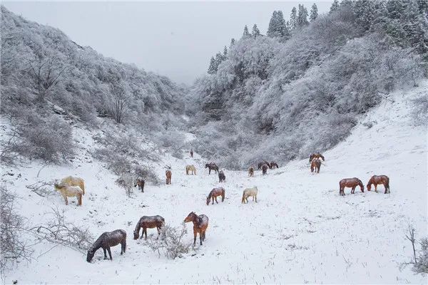 1735443680576511.jpg fb9e4be1d31e505fdc1477aa421474e8_640_wx_fmt=jpeg.jpg