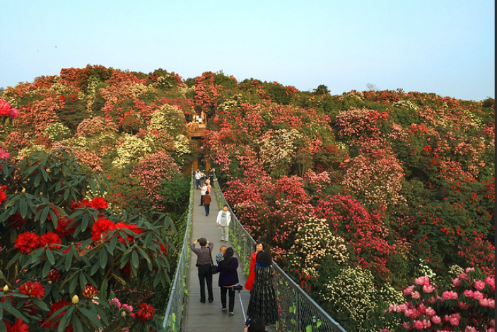 1739001658169916.png image.png