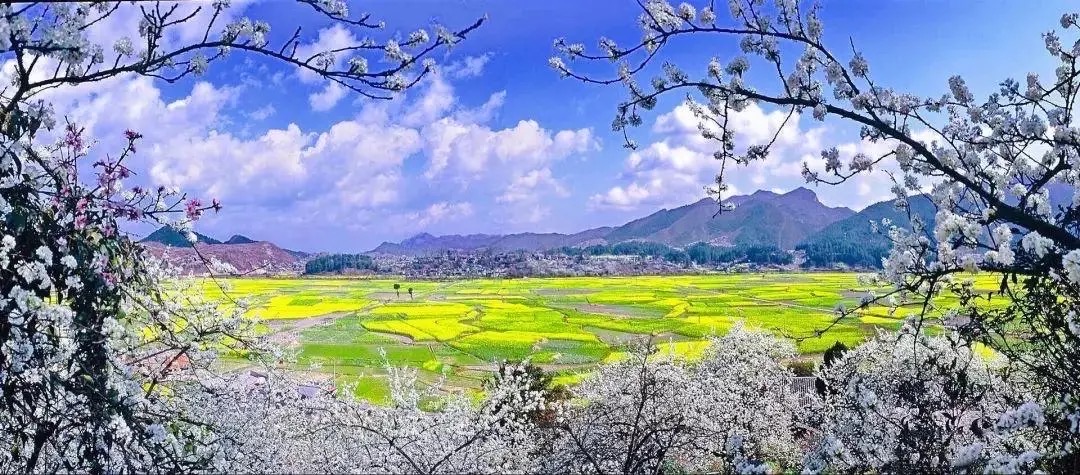 2020金海雪山-旅游攻略-门票-地址-问答-游记点评,贵定旅游旅游景点推荐-去哪儿攻略