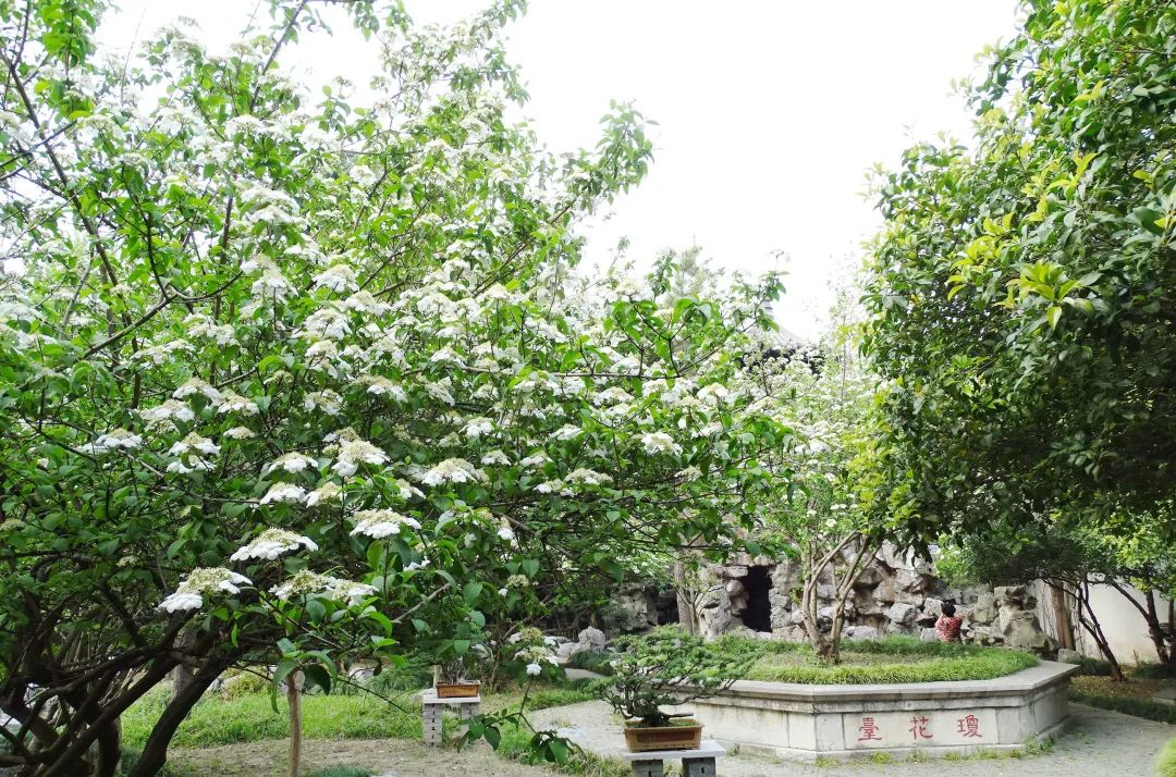 点击查看高清原图