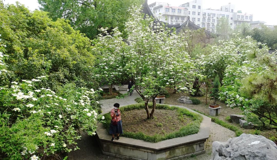 点击查看高清原图