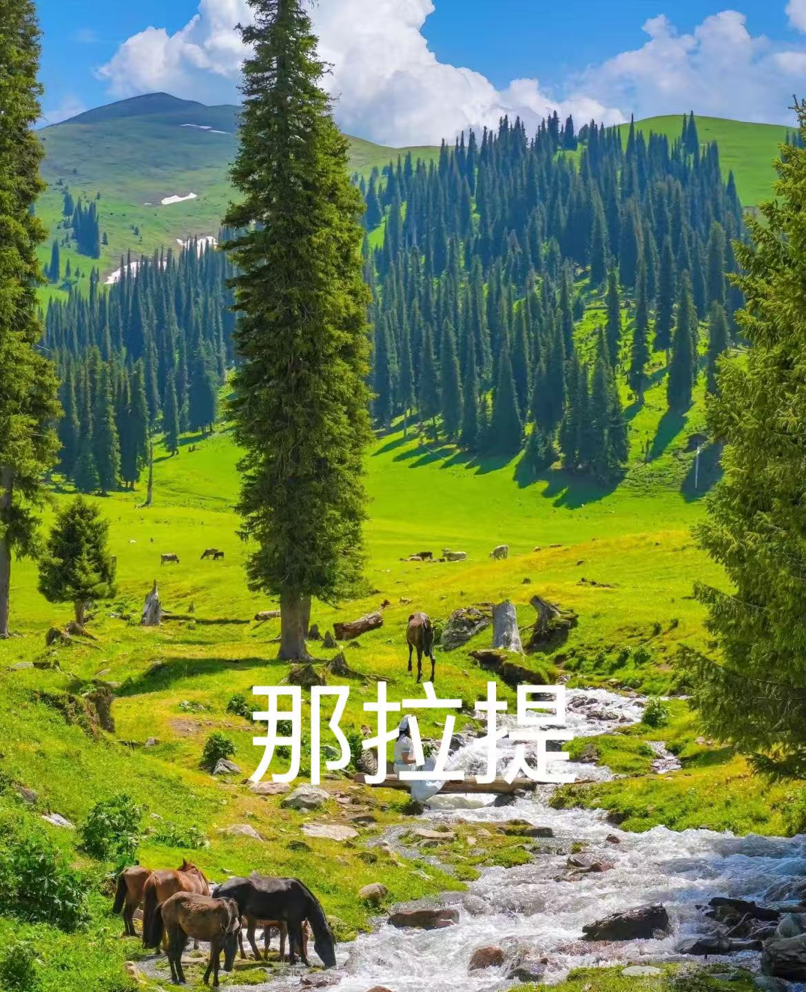 8d25fcdff7f85775df4263cfd357a31.jpg