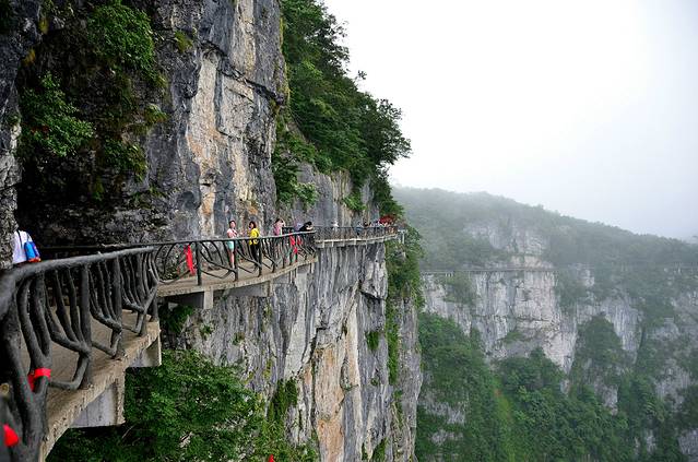 2024天门山国家森林公园门票,张家界天门山国家森林公园游玩攻略,天门山国家森林公园游览攻略路线/地址/门票价格-【去哪儿攻略】