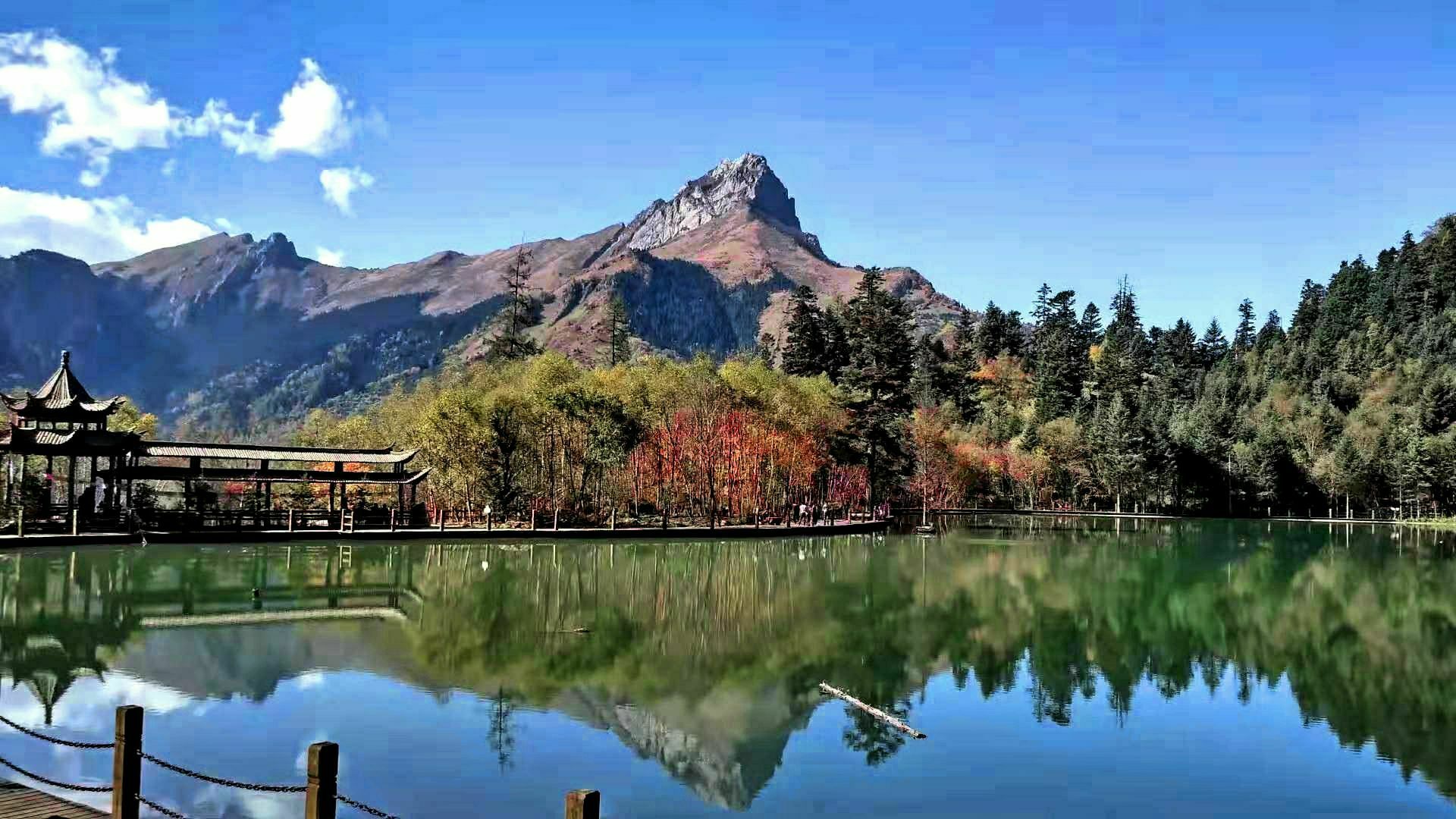 2020官鹅沟-旅游攻略-门票-地址-问答-游记点评，宕昌旅游旅游景点推荐-去哪儿攻略