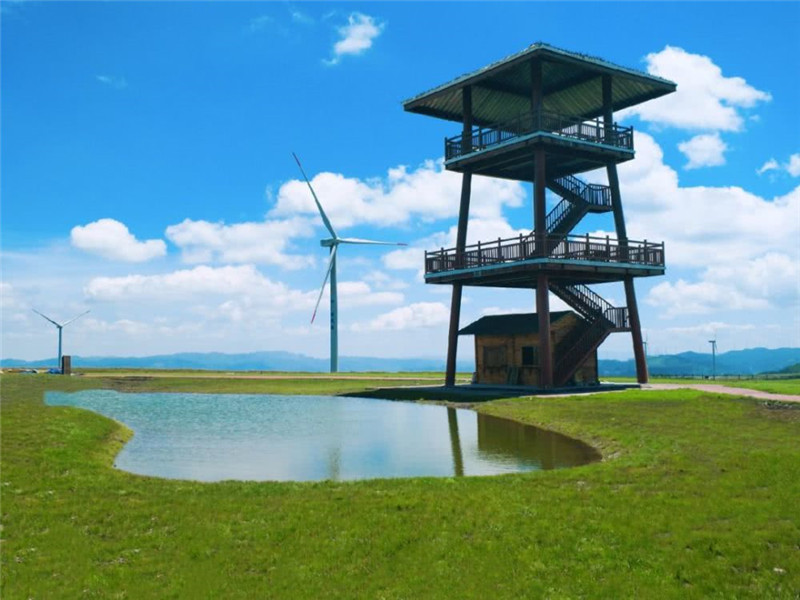 【会员免费】龙里油画大草原_广州门票_国汇优游