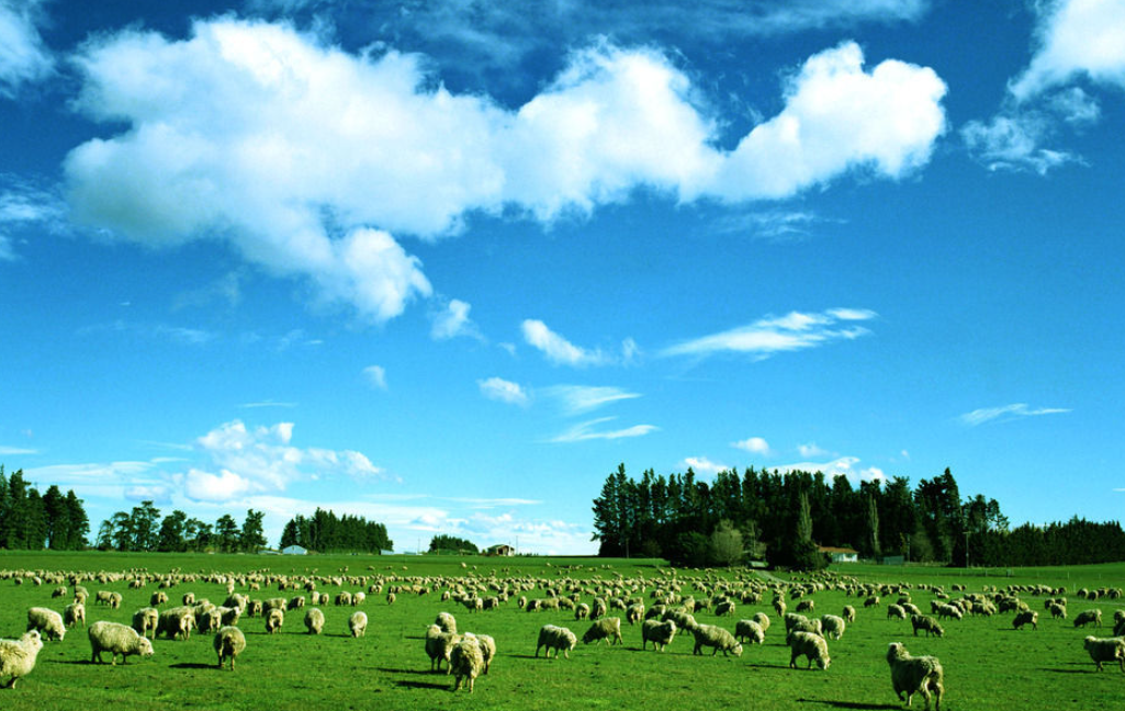 1747985048364827.png image.png