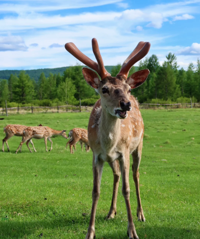 1747986279390777.png image.png