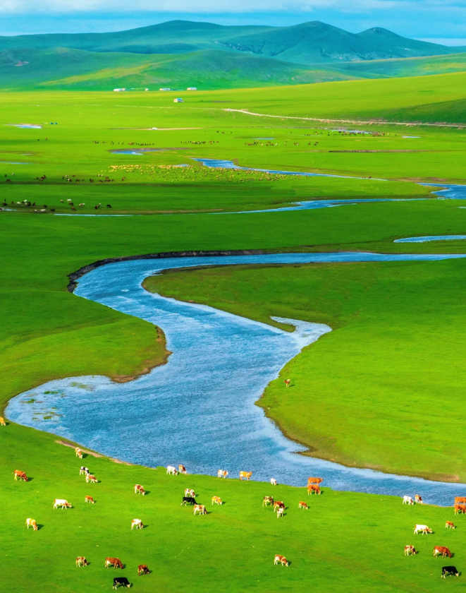 1747986337837442.png image.png