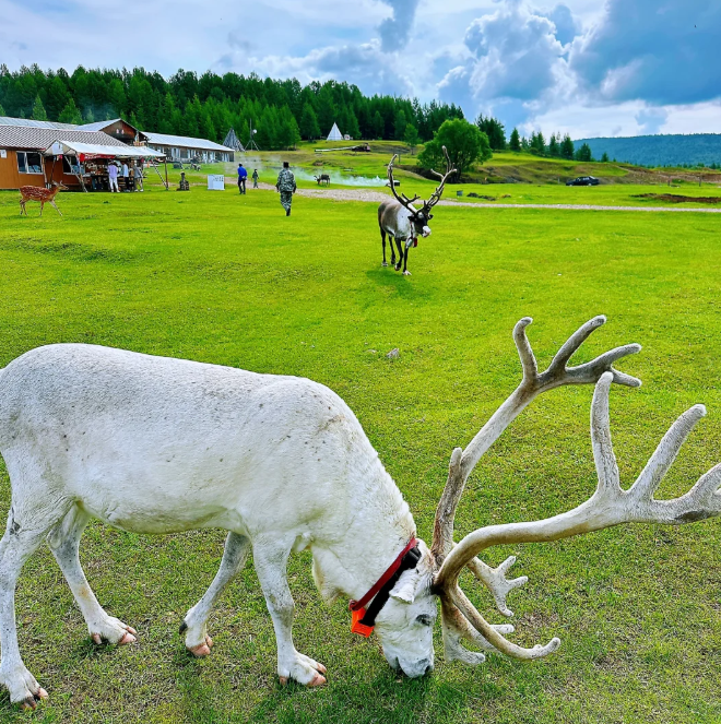 1747986301498186.png image.png