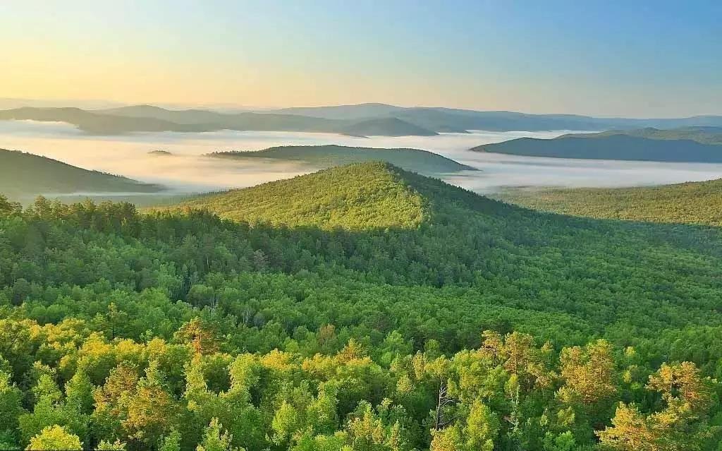 2025大兴安岭林区游玩攻略,扎到兴安岭无边无际的大森林...【去哪儿攻略】