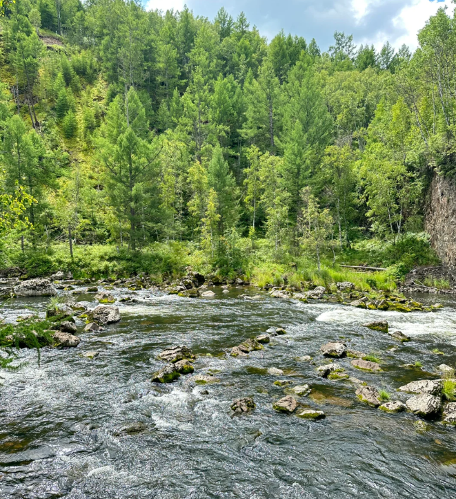 1747986607765859.png image.png