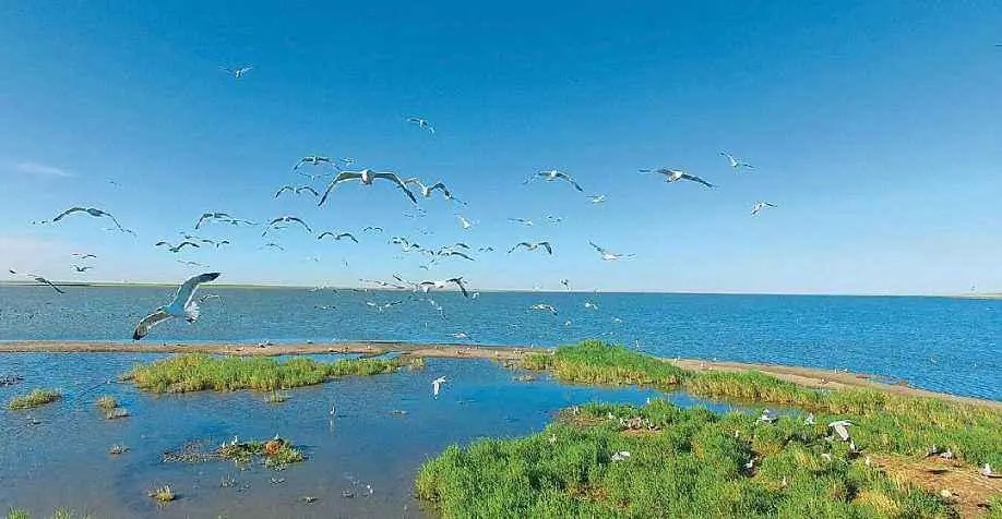 2020呼伦湖-旅游攻略-门票-地址-问答-游记点评,呼伦贝尔旅游旅游景点推荐-去哪儿攻略