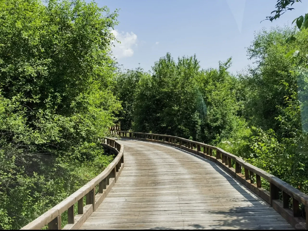 1749440273266106.png image.png