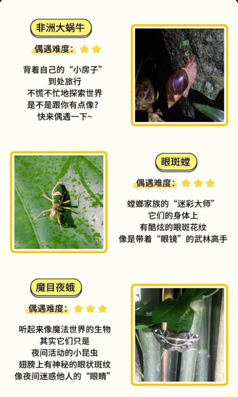 1759914380995004.png image.png