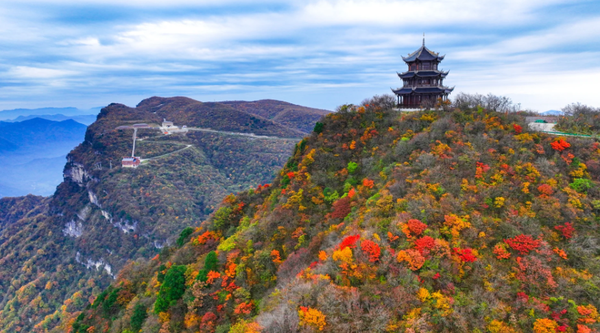 1760149447464583.png image.png