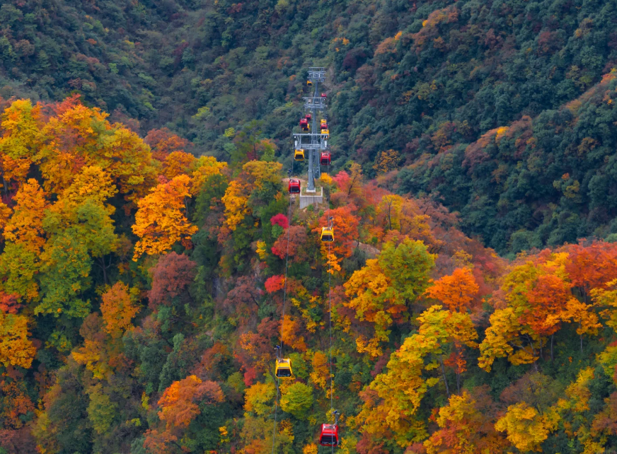 1760149457988376.png image.png