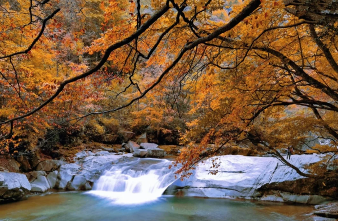 1760149614928181.png image.png