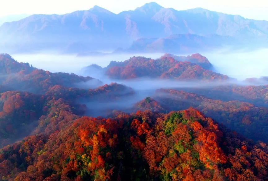 1760152784252735.png image.png