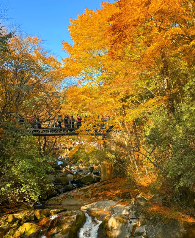 1760152727800627.png image.png