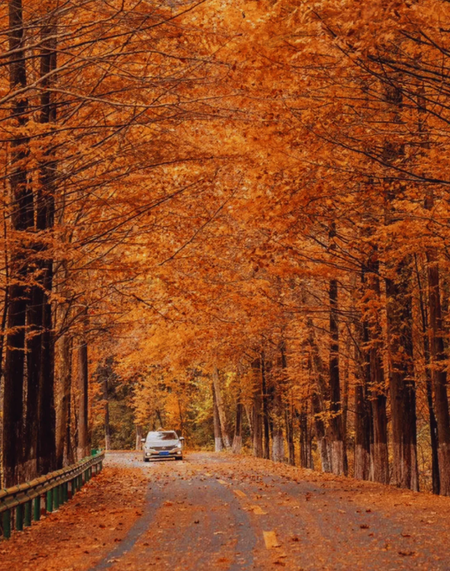 1760153297247425.png image.png