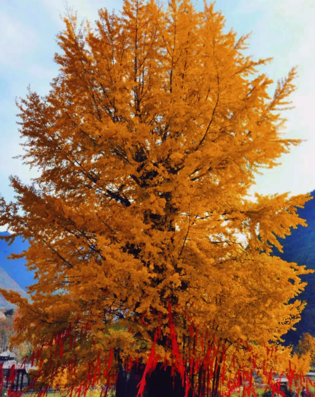 1760153317187523.png image.png