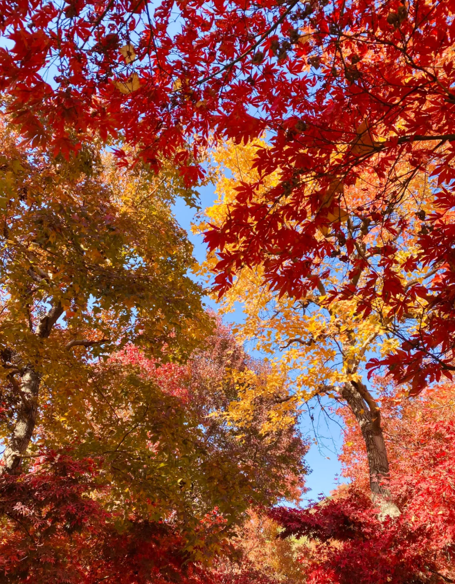 1760348437867191.png image.png