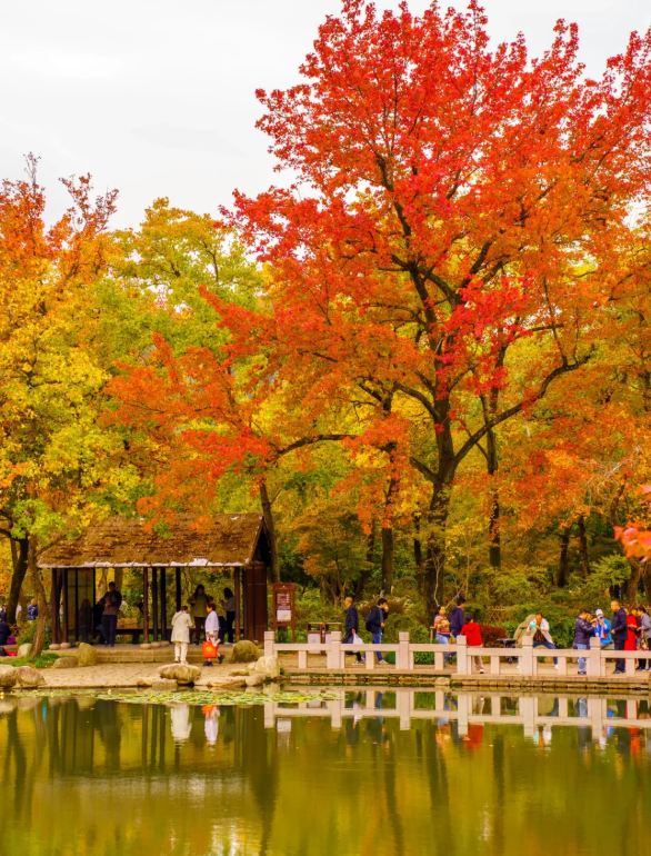 1760348489839144.png image.png