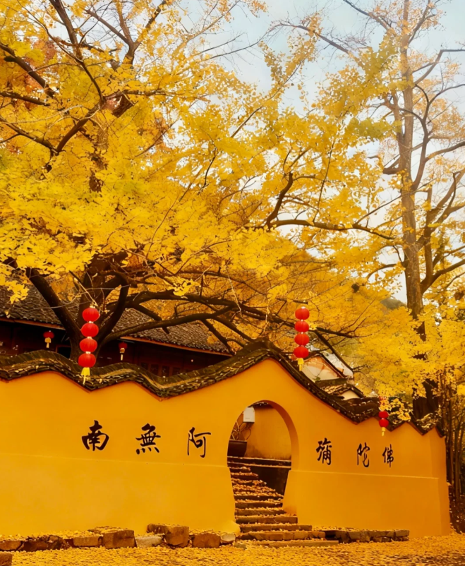 1760348674927162.png image.png