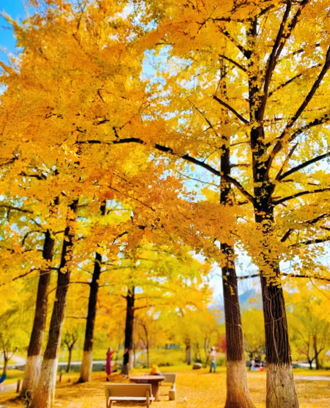 1760348722955290.png image.png