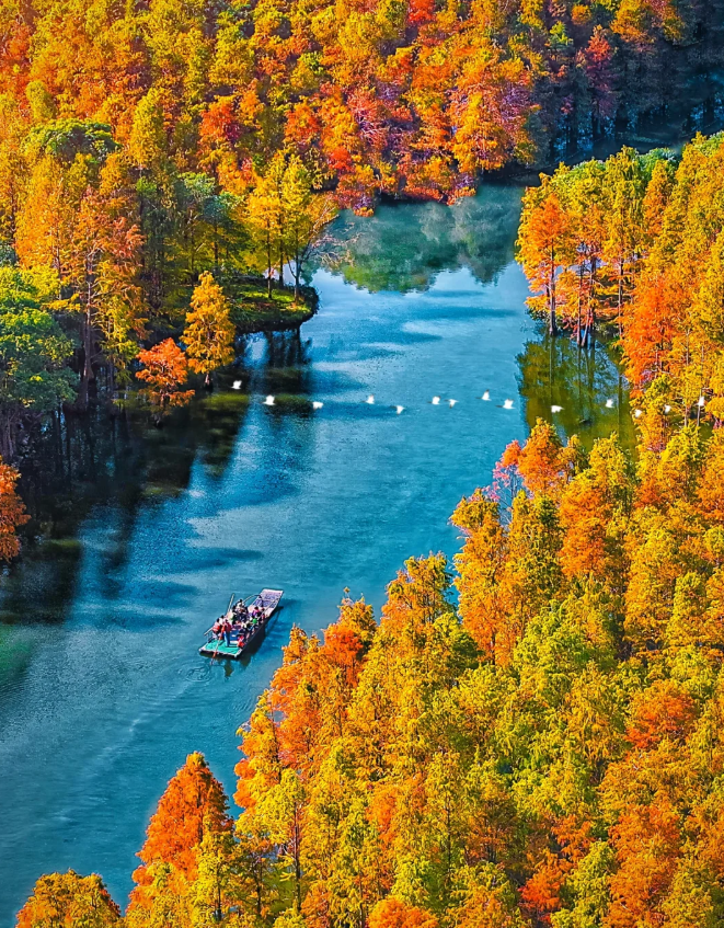 1760430401694167.png image.png