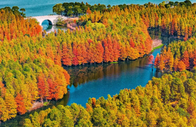 1760430424504522.png image.png