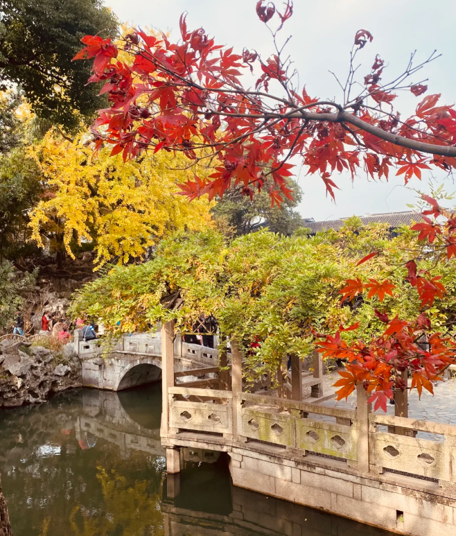 1760430806565560.png image.png