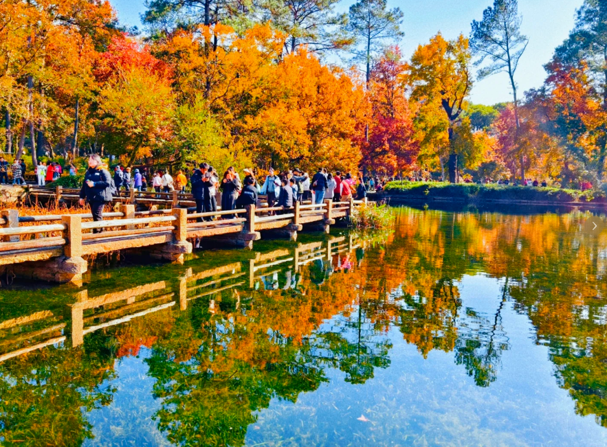 1760432346623155.png image.png