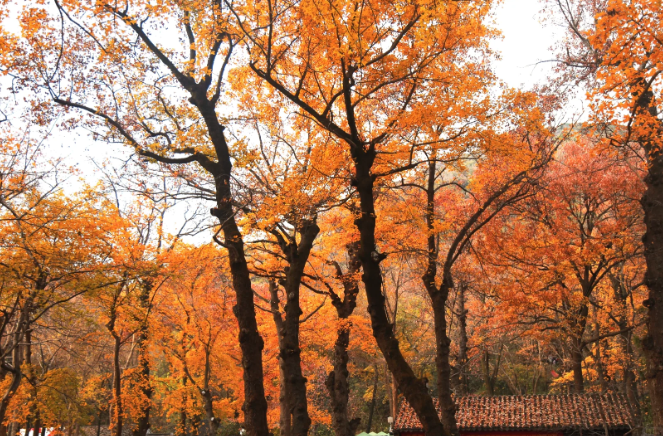 1760432263508384.png image.png