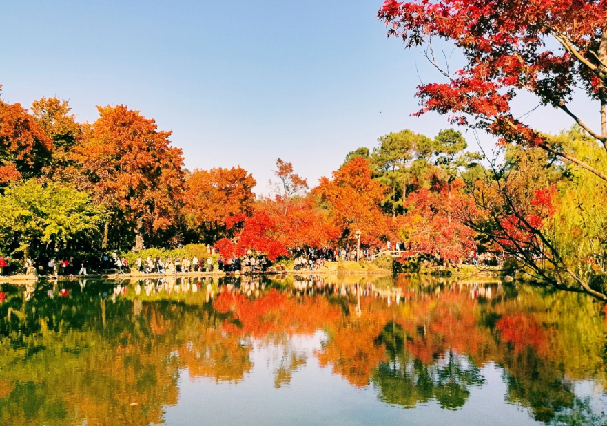 1760432388773963.png image.png