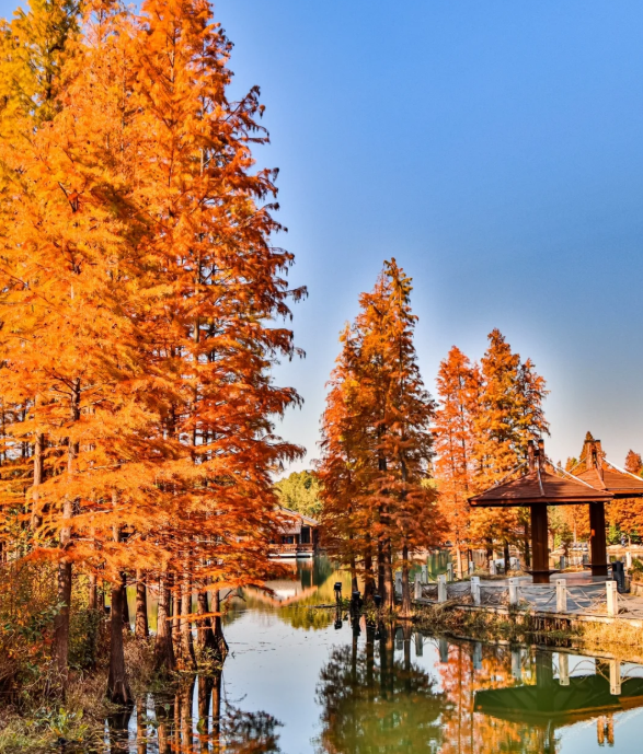 1760432592584320.png image.png